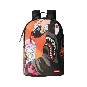 SprayGround Bag